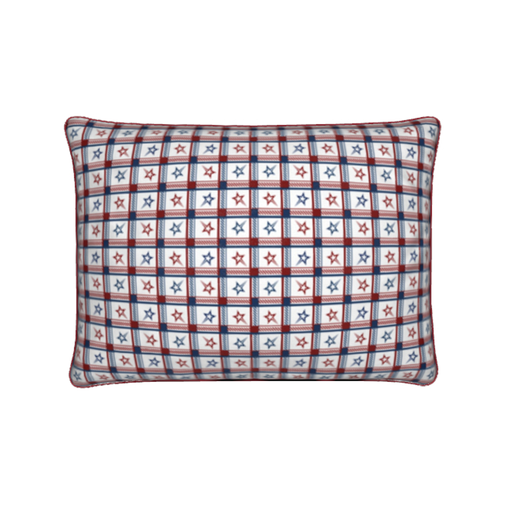 shooting star red white and blue check cushion